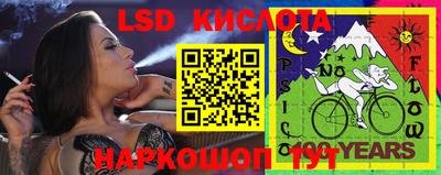 прущие крисы Апшеронск