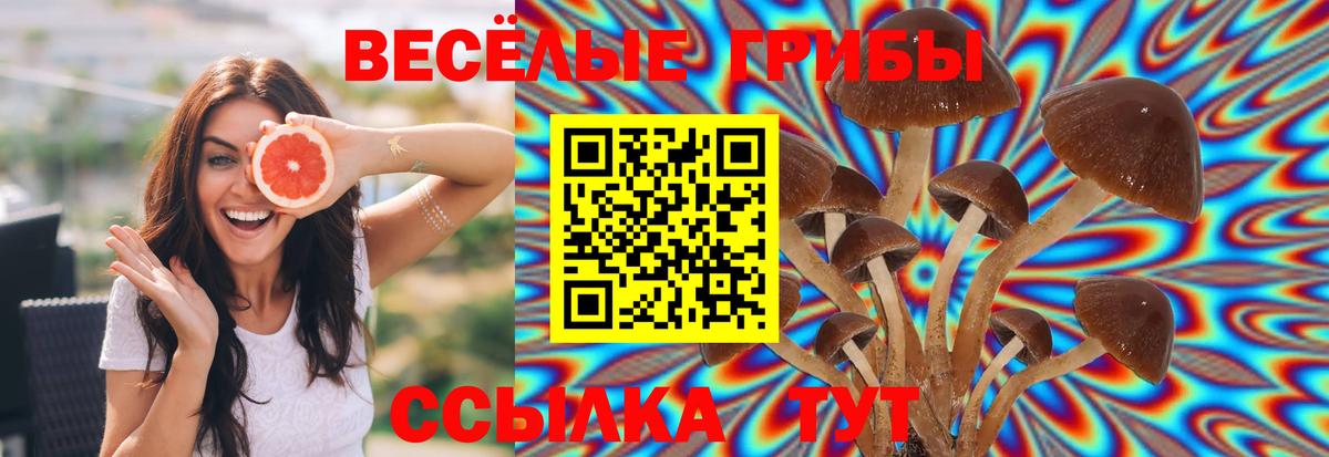 Галлюциногенные грибы MAGIC MUSHROOMS  Вход с VPN  Псилоцибиновые грибы мухоморы  Богородск 