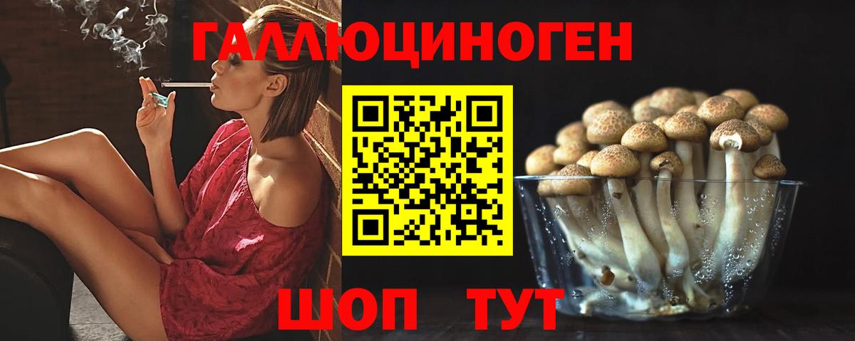 Галлюциногенные грибы мухоморы Богородск